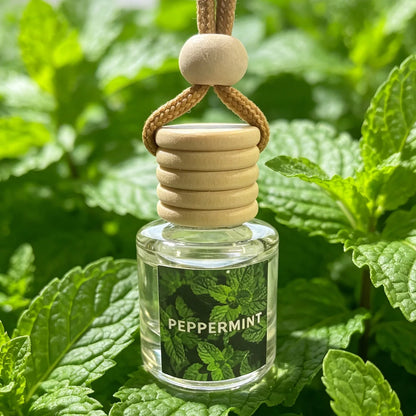 Car Air Freshener